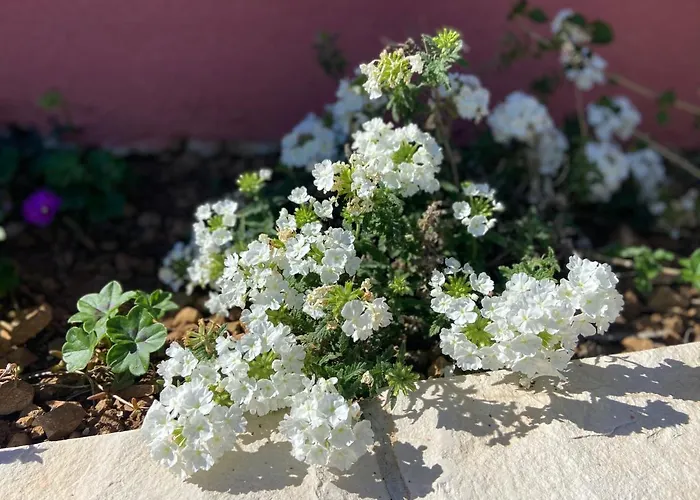 Sunce Appartamento *